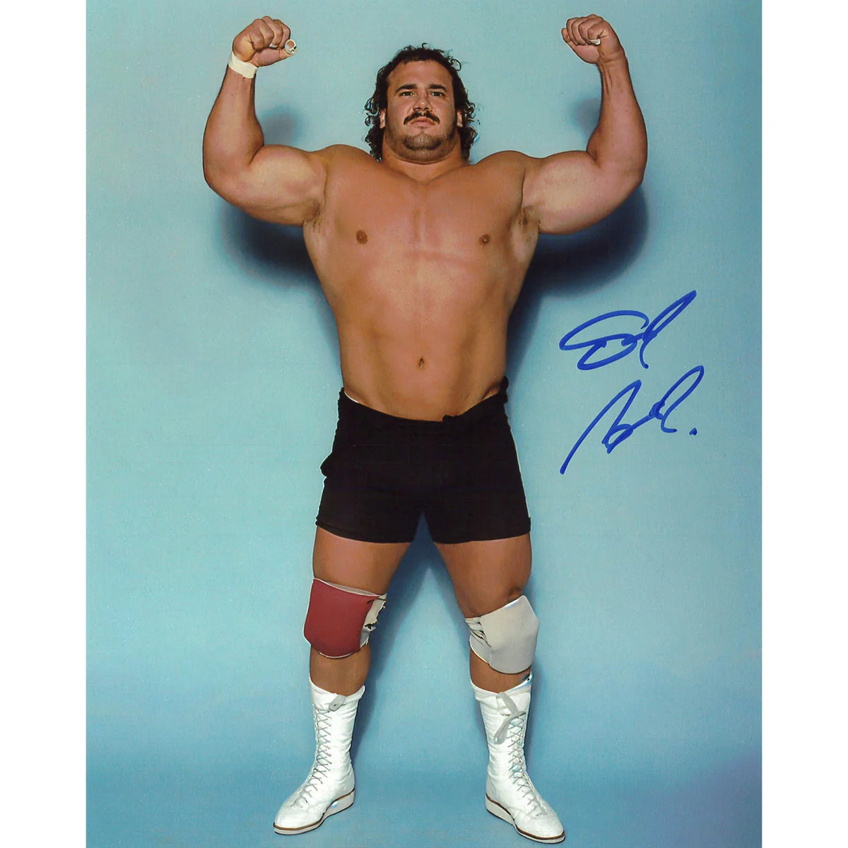 Ted Arcidi Arms up 8x10 - Autographed — Highspots UK