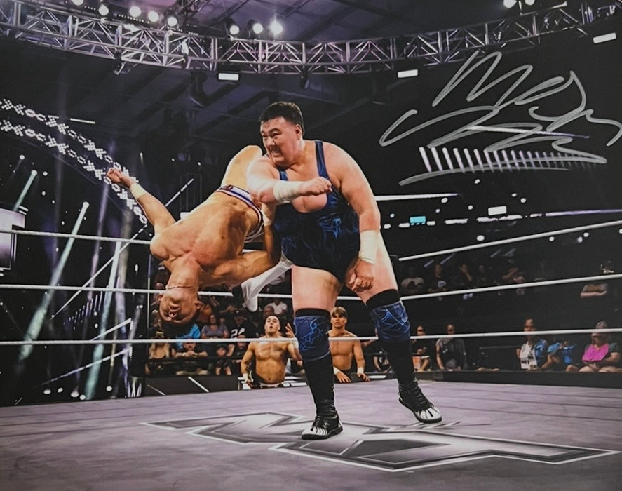 Mason Rook 8x10 Promo - Autographed