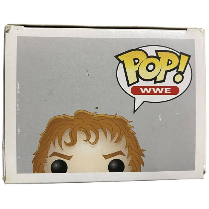 Daniel bryan hot sale funko