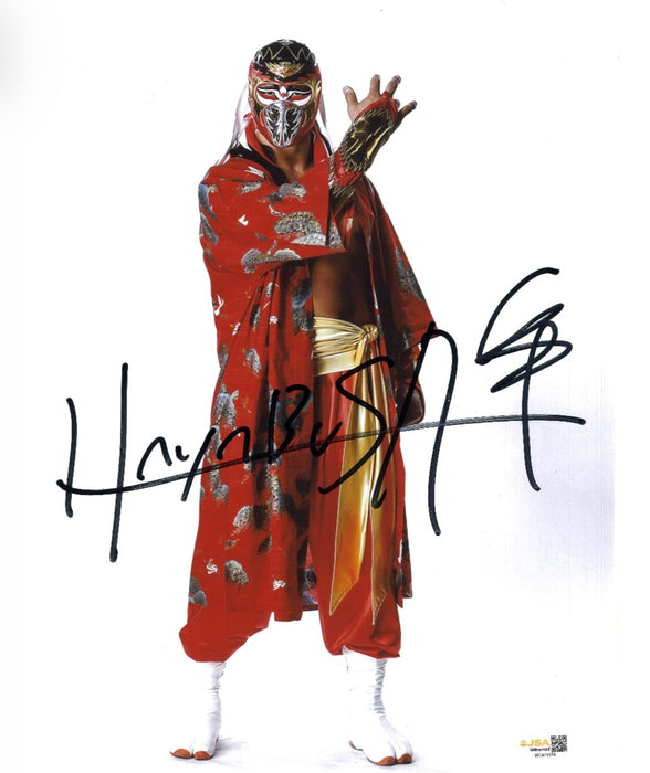 Hayabusa 11x14 Poster - JSA Autographed